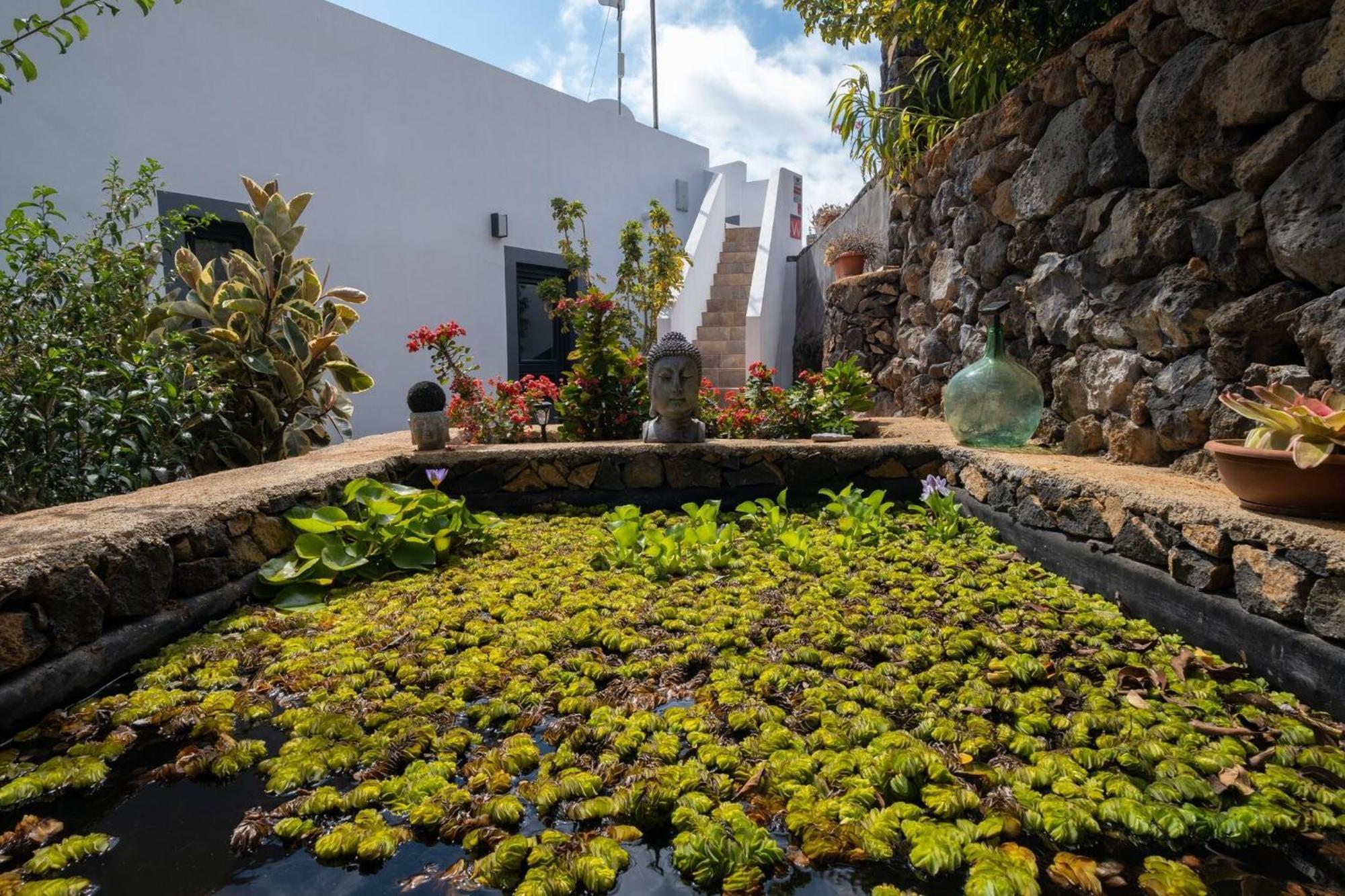 Villa La Graja By Huskalia - Private Pool Los Llanos De Aridane Dış mekan fotoğraf